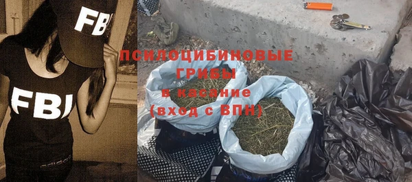 прущие грибы Слюдянка