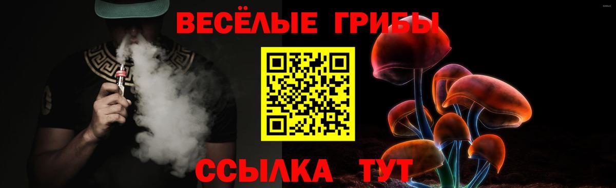 Псилоцибиновые грибы Psilocybe  Псилоцибиновые грибы прущие грибы  Вход с VPN  Ливны 
